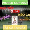 Giải Bóng đá Vô địch Thế giới - Xem trực tiếp VCK World Cup 2022